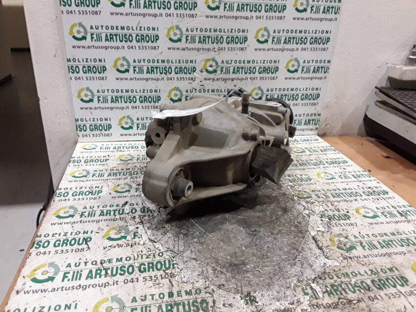 DIFFERENZIALE POSTERIORE FIAT PANDA 1.2 4X4 2009 55189952 - immagine 5
