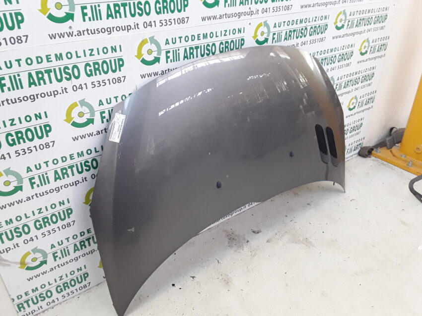 COFANO ANTERIORE PEUGEOT 206 PLUS 2010 - immagine 3